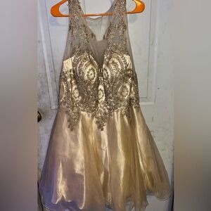 Elegant Champagne Dress